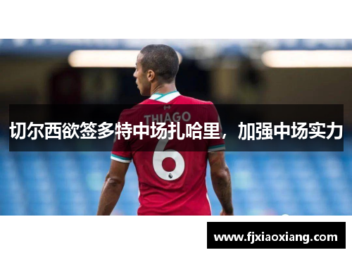 切尔西欲签多特中场扎哈里，加强中场实力